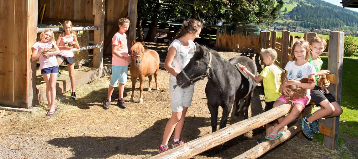 Reiten mit Schulgruppen