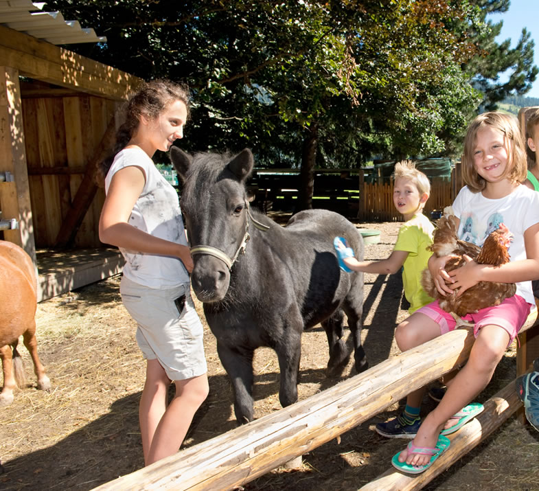 Reiten in der Jugendsportwoche